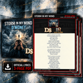 D'Money “Storm in My Mind” Official Lyrics Download | The Music Vault